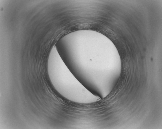 X0000060270079200511181430