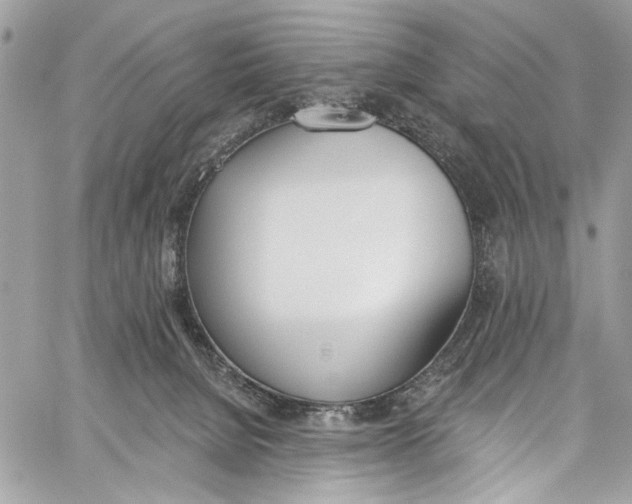 X0000060270080200511181430