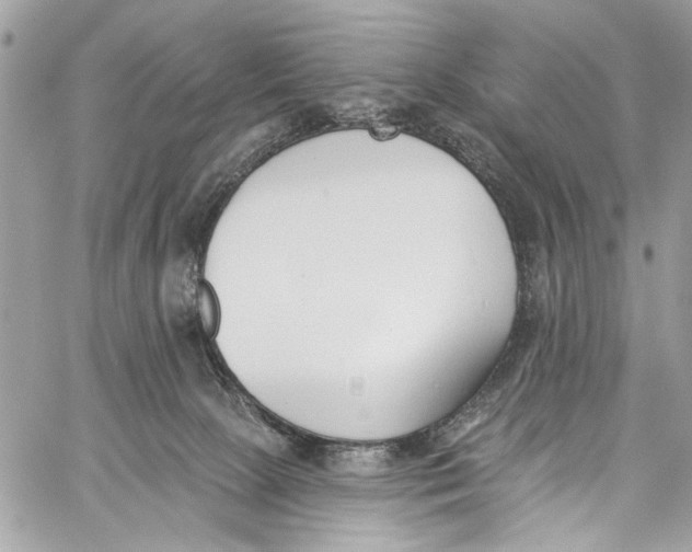 X0000060270081200511181430