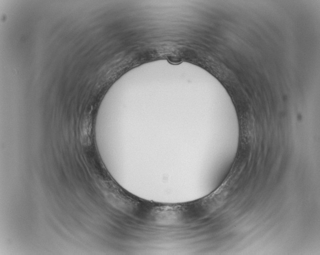 X0000060270082200511181430