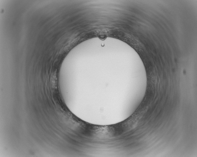 X0000060270083200511181430