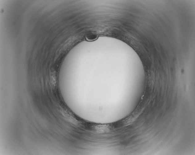 X0000060270085200511181430