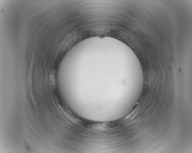 X0000060270086200511181430