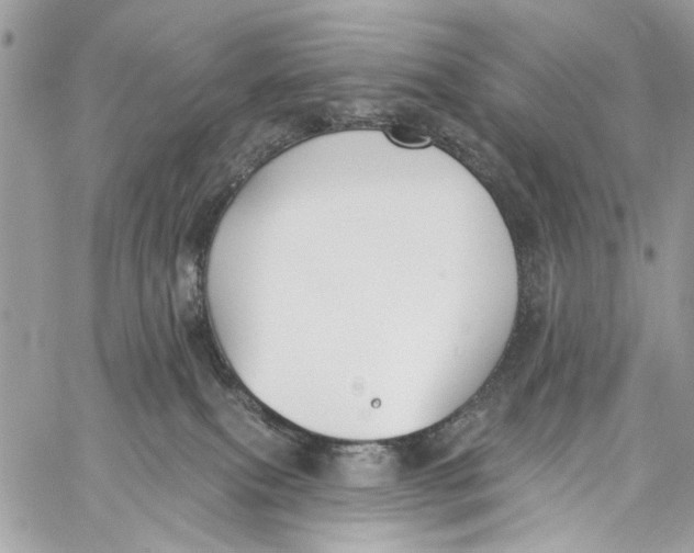 X0000060270087200511181430