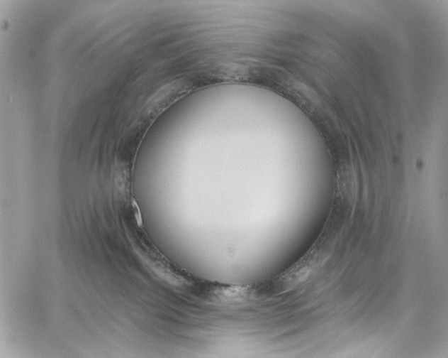 X0000060270092200511181430