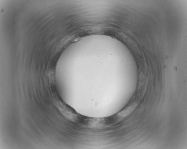 X0000060270096200511181430