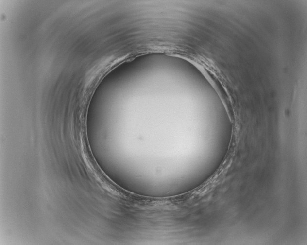 X0000060270097200511181429