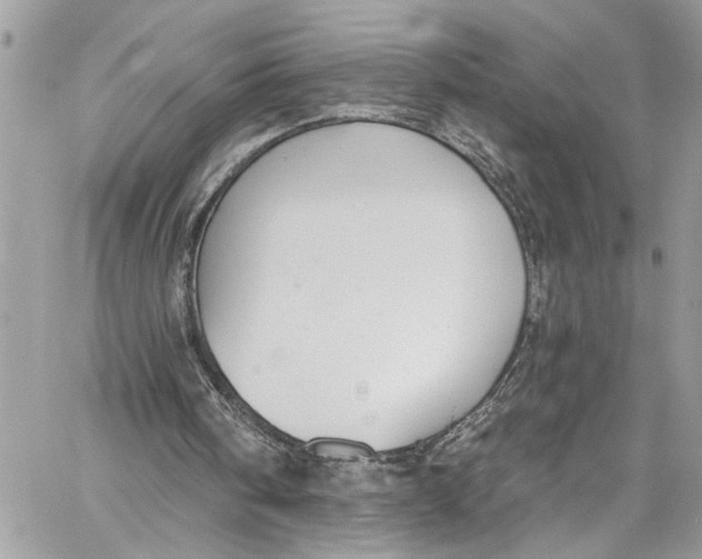 X0000060270098200511181429