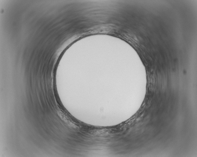 X0000060270100200511181429