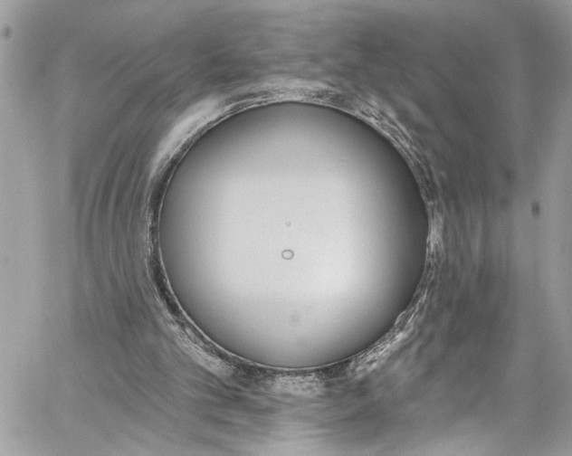 X0000060270101200511181429