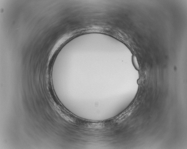 X0000060270102200511181429