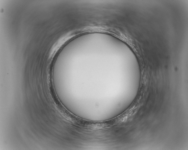 X0000060270103200511181429