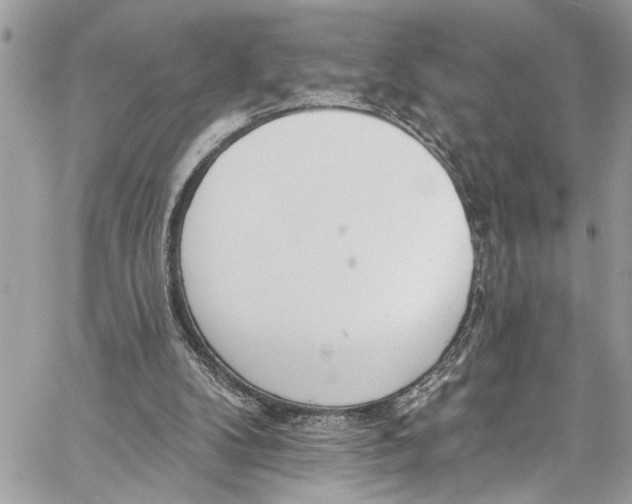 X0000060270104200511181429