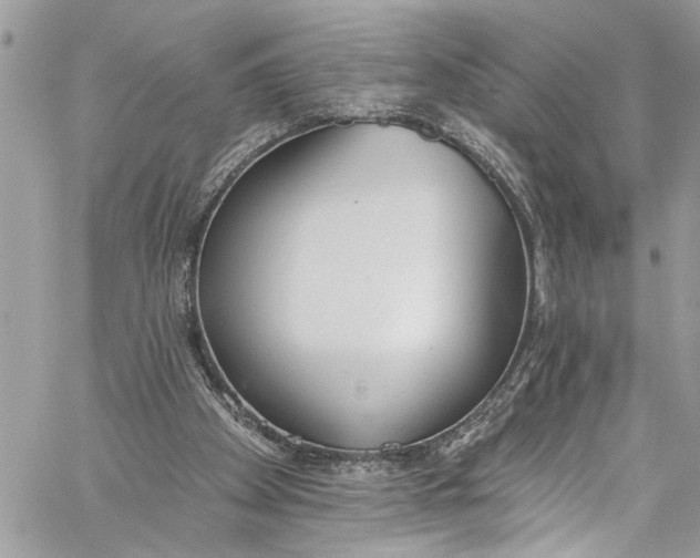 X0000060270105200511181429