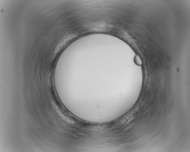 X0000060270106200511181429