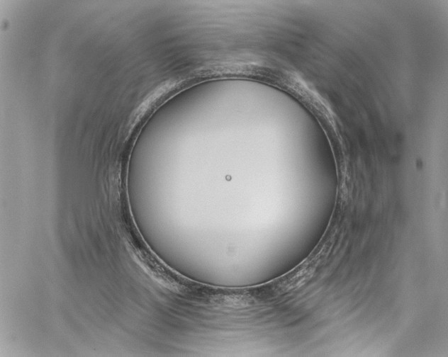 X0000060270107200511181429