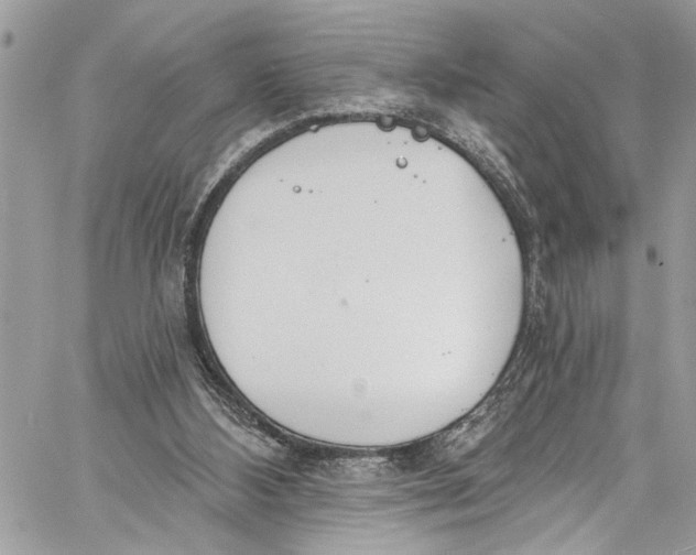 X0000060270108200511181429