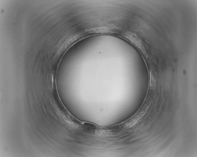 X0000060270109200511181429