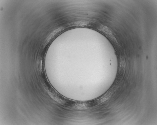 X0000060270110200511181429