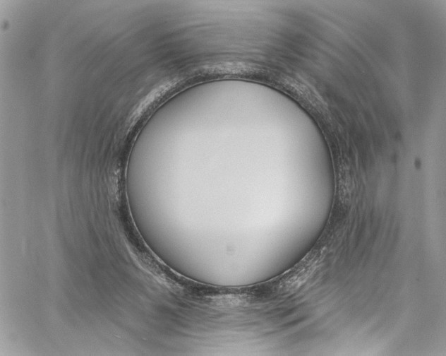 X0000060270111200511181429