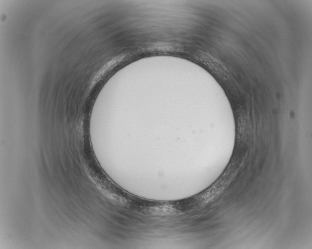 X0000060270112200511181429