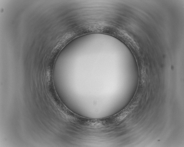 X0000060270113200511181429