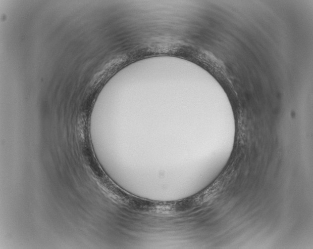 X0000060270114200511181429