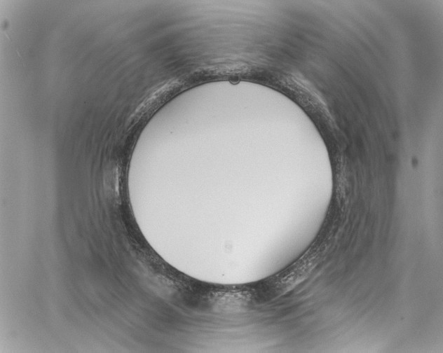 X0000060270115200511181429