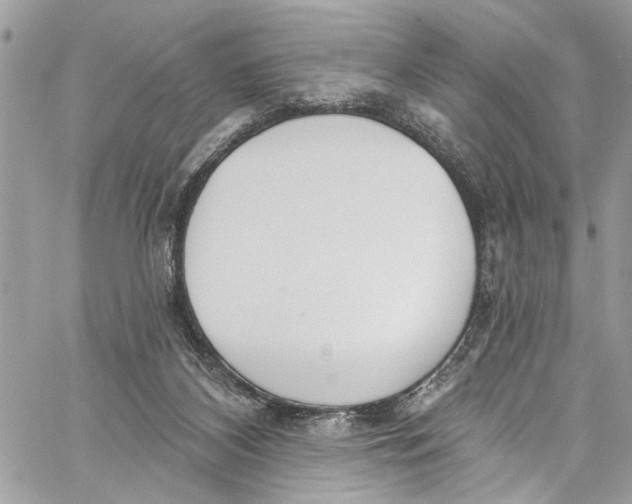 X0000060270116200511181429