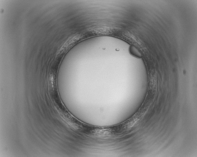 X0000060270117200511181429