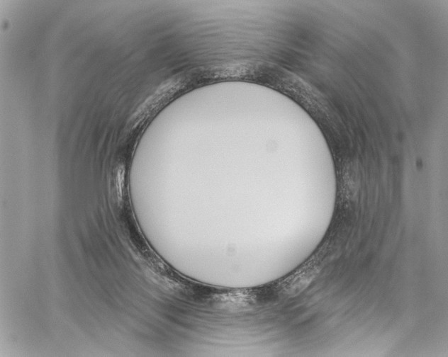 X0000060270118200511181429