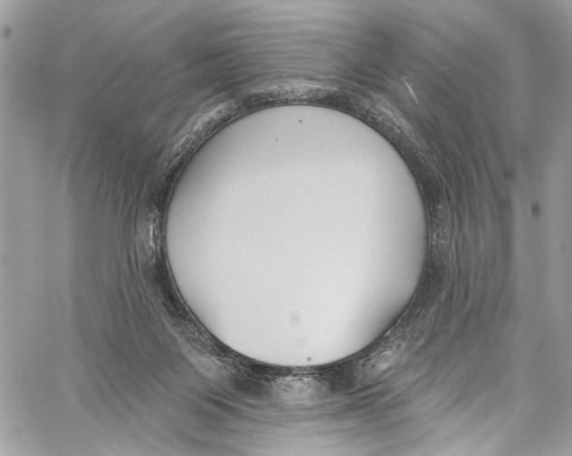 X0000060270119200511181429