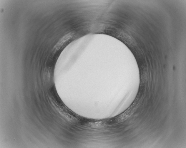 X0000060270120200511181429