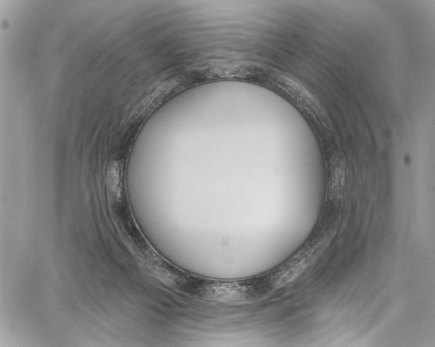 X0000060270121200511181429