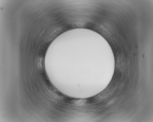 X0000060270122200511181429