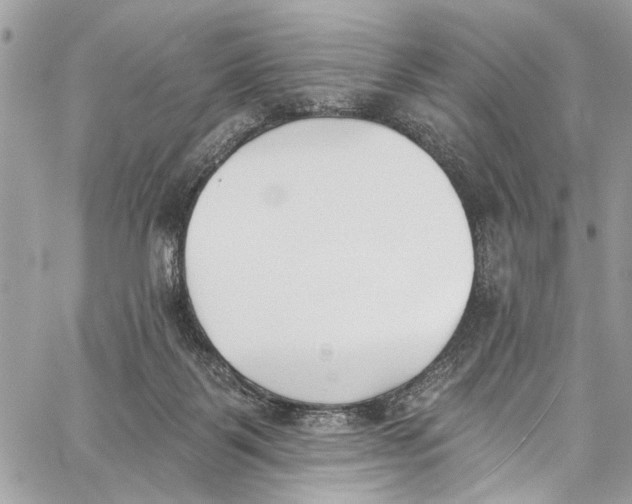 X0000060270123200511181429