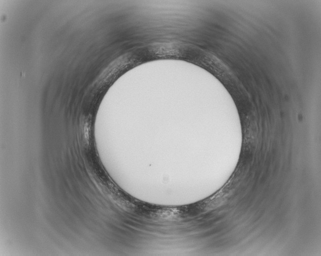 X0000060270124200511181429