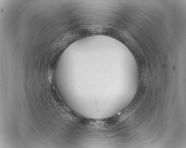 X0000060270125200511181429