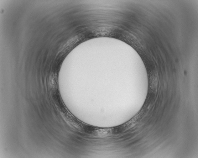 X0000060270126200511181429