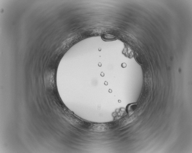 X0000060270127200511181429