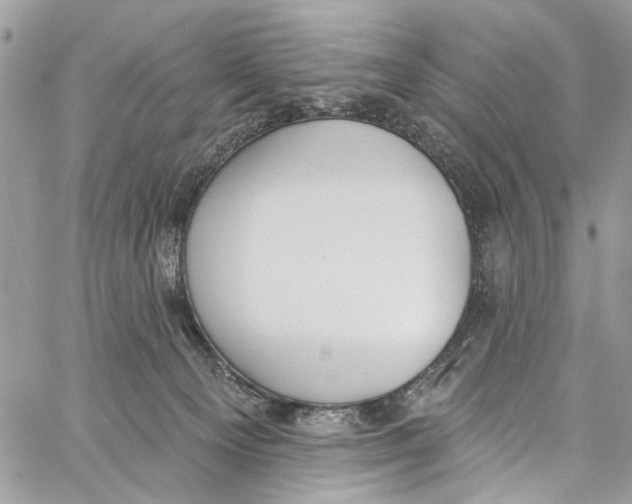 X0000060270129200511181429