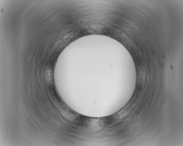 X0000060270130200511181429