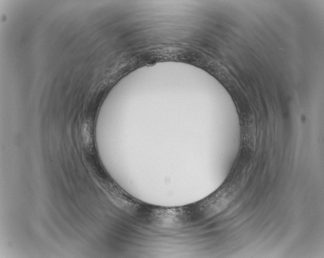 X0000060270131200511181429