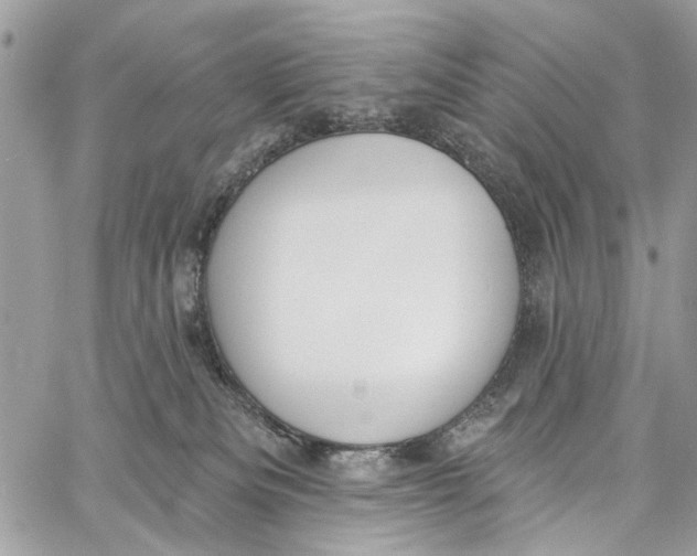 X0000060270133200511181429