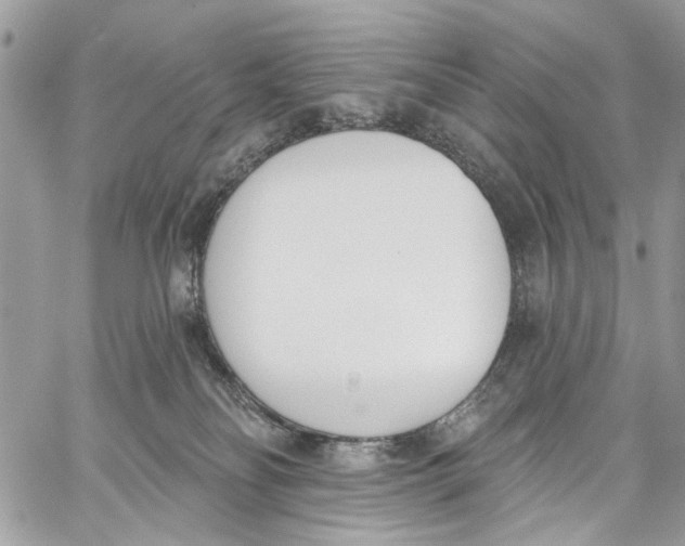 X0000060270134200511181429