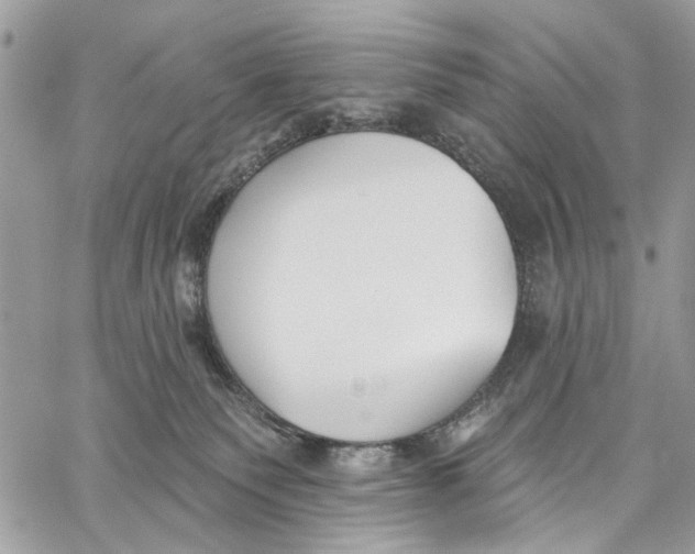 X0000060270135200511181429