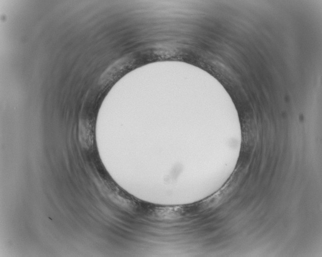 X0000060270136200511181429