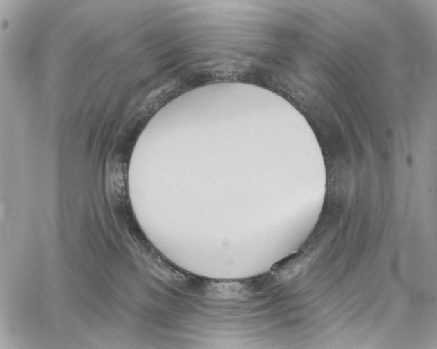 X0000060270137200511181429