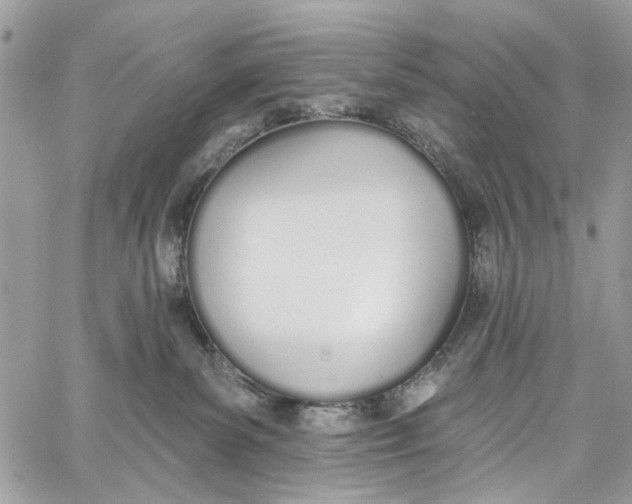 X0000060270139200511181429