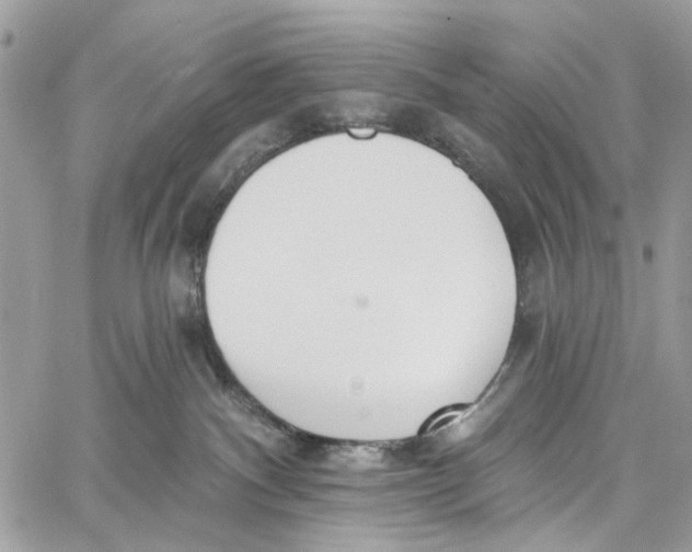 X0000060270140200511181429